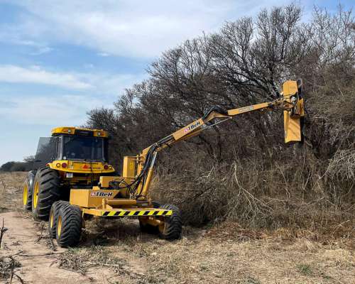 Desmalezadora - Podadora de Brazo Extensible Tbeh Nueva
