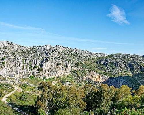 Campo de 453 Hectáreas en Villa de Soto, Córdoba.