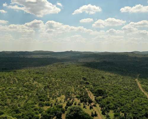 San Pedro Norte, Córdoba - 3068 Ha