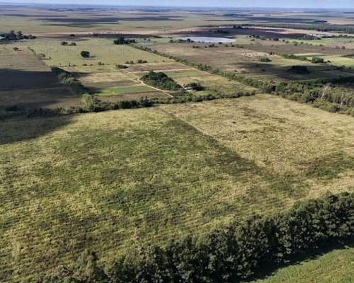 Colonia Pando, San Roque, Corrientes - 50 Ha