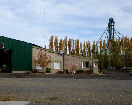 Excepcional Feed LOT en Neuquén 18 Ha