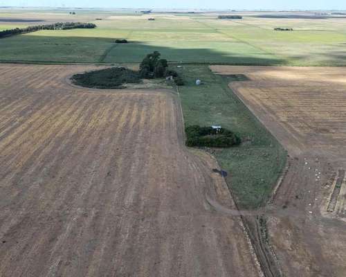 700 Hectáreas Pehuenco, BS. AS.