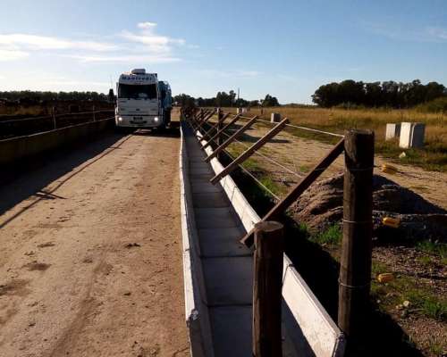 Comedero para Feedlot de Hormigón Armado