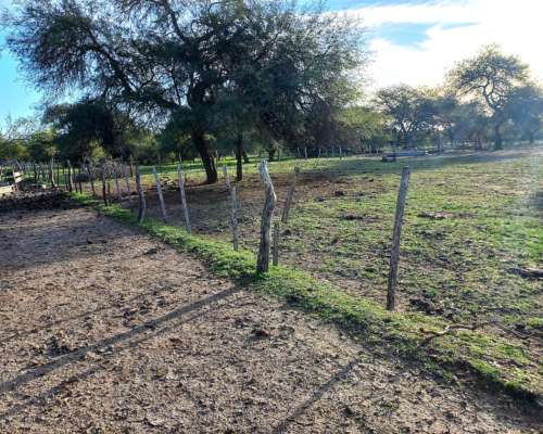 Arrendamiento Monte para Cria