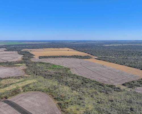 Pcia. de Entre Rios - San Jose de Feliciano 1960 Ha