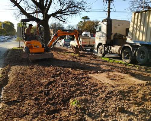 Trabajos con Mini Excavadora