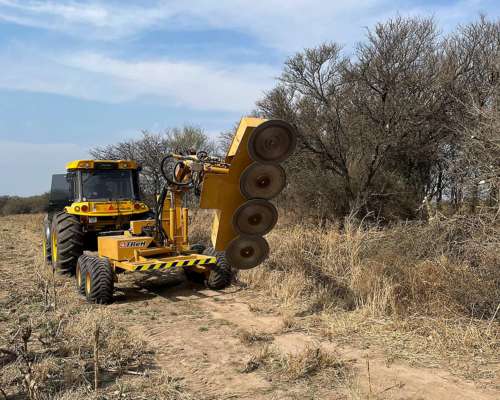 Desmalezadora - Podadora de Brazo Extensible Tbeh Nueva