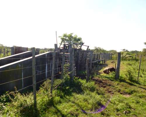 8.443 Has. en Venta - Logroño, 9 de Julio - Santa FE.