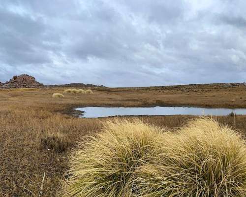 Mencue, el Cuy, Río Negro - 25.640 Ha