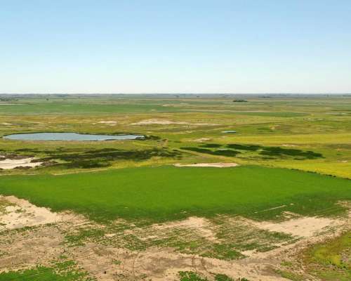 Tosquita, Río Cuarto, Córdoba - 458 Ha