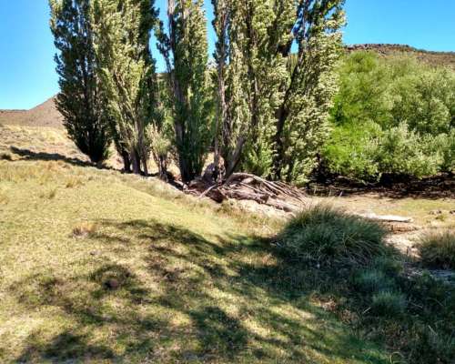 Vendo 18.800 Ha Rio Negro