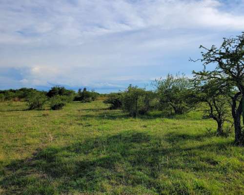 Venta de 25 Has en Mercedes (corrientes) en Zona Urbana