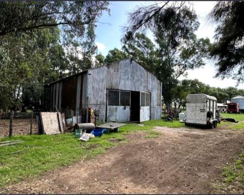 Venta Chacra 30 Has en Balcarce
