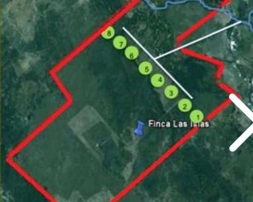 12700 Ha - Agro Ganaderas
