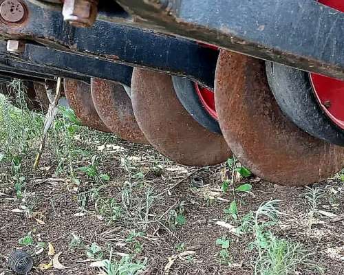Sembradora Tanzi 4300 con Alfalfero Disponible Entrega