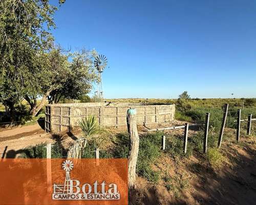 11000has en Venta en Santa Isabel, la Pampa