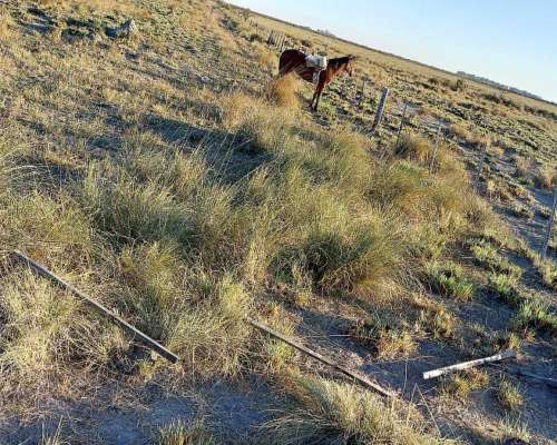 585 Ha Ganaderas en Alquiler – Santa FE