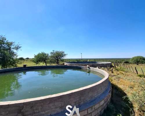 Se Vende Excelente Campo Ganadero en Victorica, la Pampa.