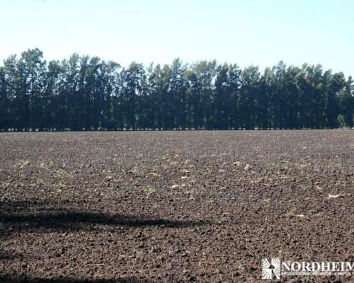 Zarate , G.b.a. Zona Norte, Argentina