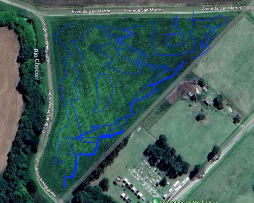 Campito de 3,2ha en Alquiler