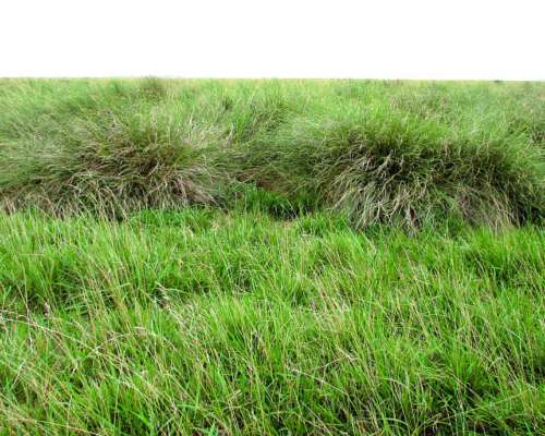 1166 Ha Mixtas Carlos Tejedor, BS. AS. Transf. Paq. Accion.