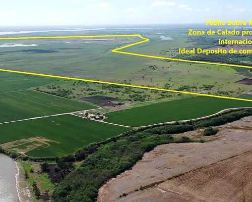 Venta Campo de 659 Ha Sobre Hidrovía el Rio Paraná en Santa