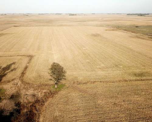 San Enrique 137 Ha 25 de Mayo BS. AS.