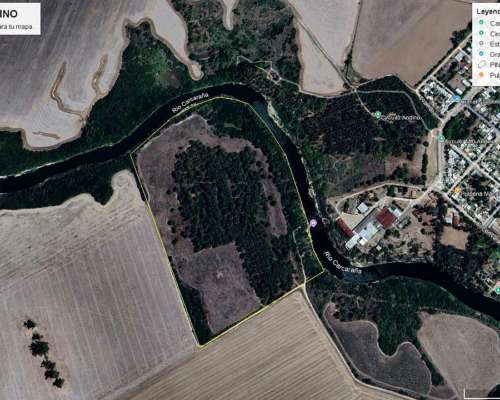 Pinar de Andino 21,6 Ha - 50 % Agrícola 50 % Bosque de Pinos