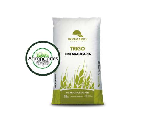 Semilla de Trigo Araucaria- Don Mario