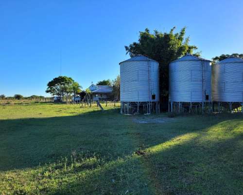 Venta 2.050 Has. en Mercedes - Corrientes