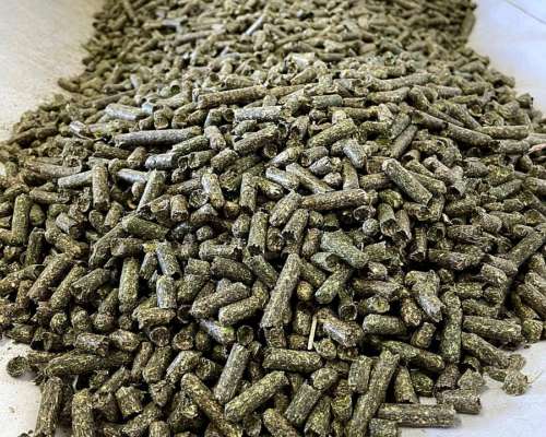 Pellet de Alfalfa en Bolsa - Lasna Insumos - MÍN 28 TN