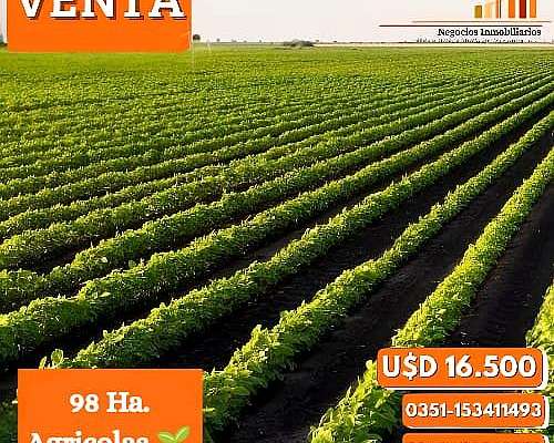 98 Ha 100% Agricolas
