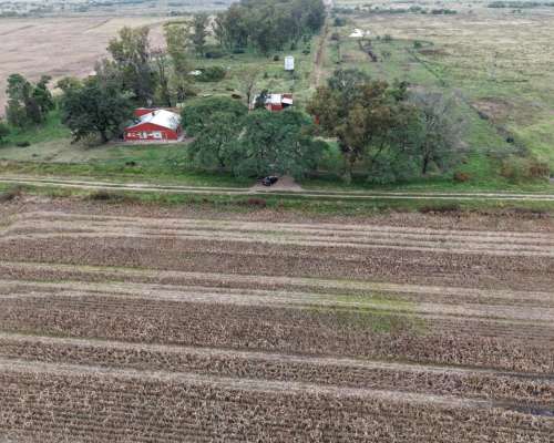878 HA. Ganadero, Cria. Depto, San Martin (santa FE)