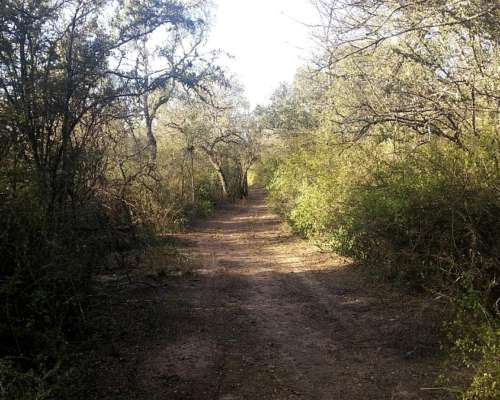 Campo Mixto Agricola - Ganadero - Santiago del Estero 35%off