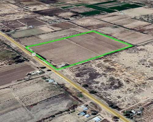 Se Vende Viñedo de 9ha en San Rafael - Mendoza