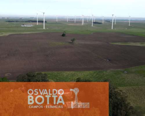 Campo Mixto en Venta 103 Has en Miramar, Buenos Aires