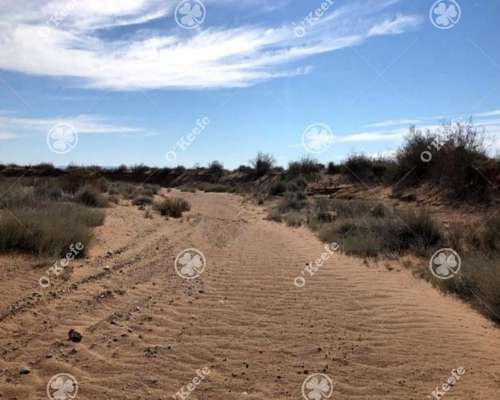 Campo en Venta de 2785 Has en Neuquen