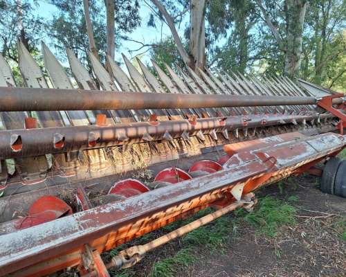 Girasolero Maizco 18 a 52 Bandeja Fina