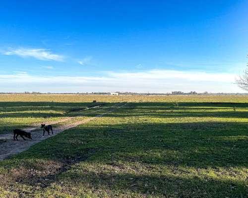 Campo en Venta en Marcos PAZ 48ha