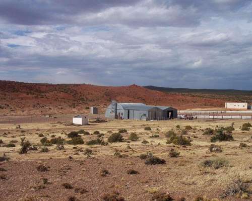 Campo Chubut 165.429 Hectareas Costa de Rio Potencial Eólico