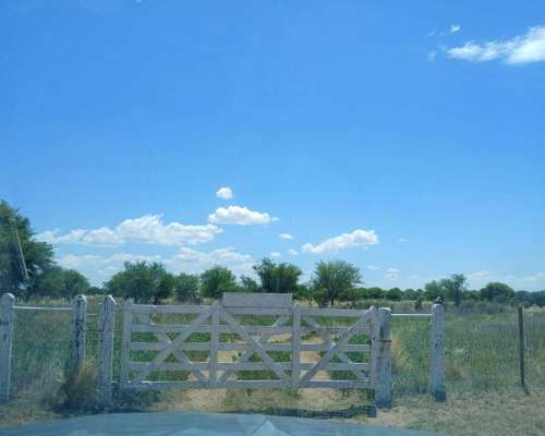 10000 Has Ganaderas en Union Prov. de San Luis