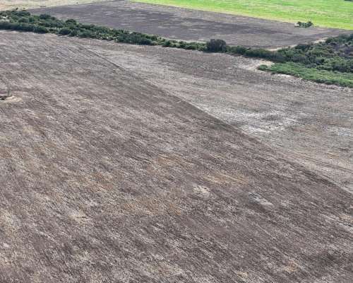 115 Has Aptitud Agrícolas SA Pereira las Colonias Santa FE