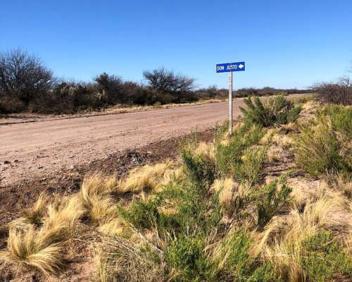 Campo Apto Coto de Caza