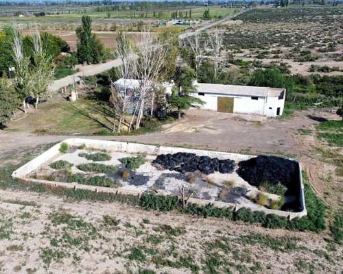 Finca en la Pega 25ha con Goteo