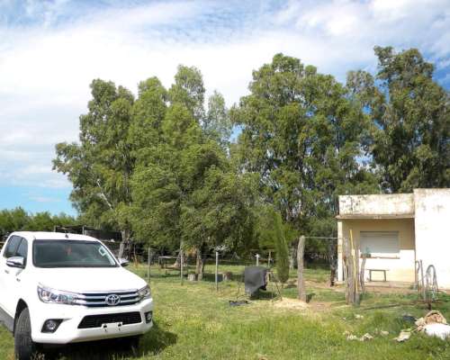 12 Ha en General Alvear MZA 40000 Dolares Sisi Leiste Bien