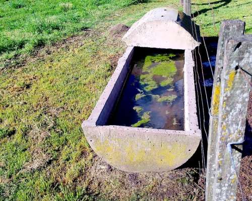Bebederos con Flotante de Hormigon Completo 2 Unidades