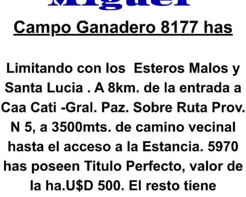 Oportunidad Venta de Campo en Dpto San Miguel - Corrientes
