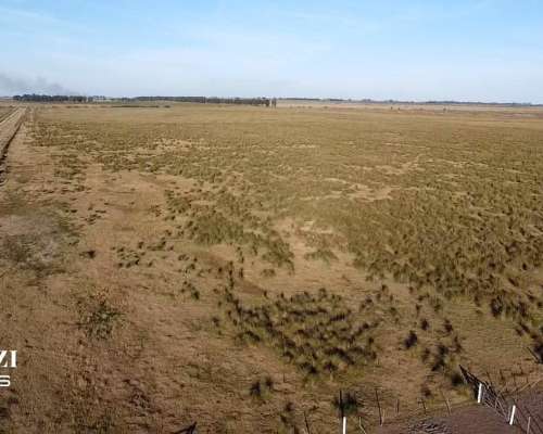 Alquilo 1.482 Ganaderas en Departamento San Martin.