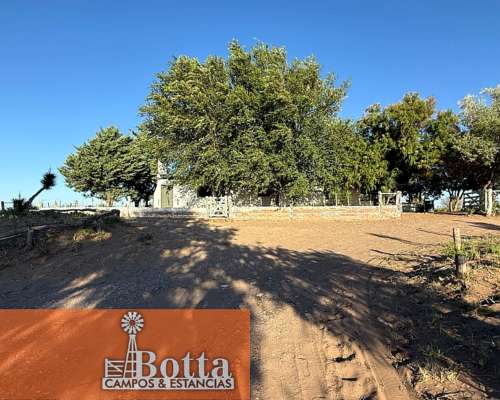 11000has en Venta en Santa Isabel, la Pampa