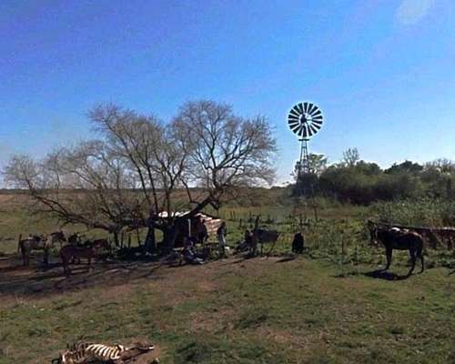 Selvas del Rio de ORO - 1432 Ha - Chaco